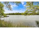 Scenic water view with a dock extending into the water, framed by lush greenery and a clear blue sky at 3627 Holmes Dr, Johns Island, SC 29455