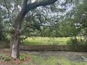 View of the fenced backyard and a lush green landscape, offering a serene and private outdoor space at 37 Fort Royal Ave, Charleston, SC 29407