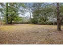 Spacious backyard features mature trees and plenty of room for outdoor activities at 907 Pauline Ave, Charleston, SC 29412