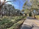 View of road along wooded lot showcasing potential building site surrounded by mature trees at 137 Droze Rd, Summerville, SC 29483