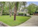 Beautiful home with lush green lawn, complemented by mature palm trees and a long driveway at 109 Fort St, Summerville, SC 29485