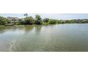Scenic view of a calm lake surrounded by lush greenery and waterfront properties at 1648 Secessionville Rd, Charleston, SC 29412