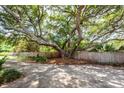 Expansive yard with a majestic oak tree and a well-maintained driveway leading to the property at 1648 Secessionville Rd, Charleston, SC 29412