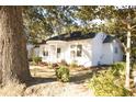 Charming white home nestled among mature trees, featuring a welcoming arched porch and manicured landscaping at 203 Weiters St, Walterboro, SC 29488