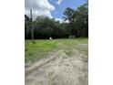 View of the lot with sparse grass and scattered trees at 7413 N Highway 17, Awendaw, SC 29429
