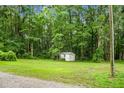 Spacious backyard featuring a small shed, greenery, and ample space at 785 Coral Acres Dr, Moncks Corner, SC 29461