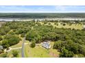 Aerial view of a luxury home surrounded by mature trees, a river, and a large lawn at 2962 Anchor Watch Dr, Wadmalaw Island, SC 29487