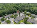 Aerial view of a townhouse community with tree-lined streets and easy access to a community pool at 8743 Grassy Oak Trl, North Charleston, SC 29420