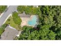 Aerial view of a community pool surrounded by lush greenery, offering a relaxing retreat at 8743 Grassy Oak Trl, North Charleston, SC 29420