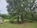 A landscaped yard with mature trees adding privacy and shade to the property at 2200 State Road Rd, Summerville, SC 29486