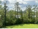 View from the backyard overlooking the mature trees and foliage at 3016 Evening Tide Dr, Hanahan, SC 29410