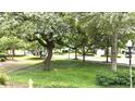 Lush greenery and mature trees create a peaceful street view at 1225 Blakeway St # 906, Charleston, SC 29492