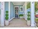 Inviting front porch featuring decorative plants and a stylish door, enhancing the home's curb appeal at 2710 Mcfadden Way, Johns Island, SC 29455