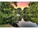 Scenic pond reflecting lush greenery, creating a serene natural view at 448 Jardinere Walk, Mount Pleasant, SC 29464