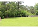 Expansive backyard with lush green lawn and mature trees offering privacy at 2163 Pinehurst Ave, Charleston, SC 29414
