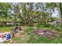 Backyard featuring tall trees and greenery at 3043 Matipan Ave, North Charleston, SC 29405