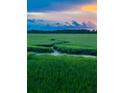 Scenic marsh view under a dramatic sky with green grass and a winding stream at 1815 Long Bend Dr, Seabrook Island, SC 29455