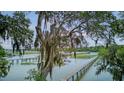 Picturesque view of the community docks on the water, framed by mature trees with Spanish moss at 392 Tombee Ct, Mount Pleasant, SC 29464