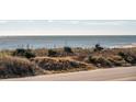 Scenic view of the ocean and beach vegetation along the coast at 405 Palmetto Blvd, Edisto Island, SC 29438