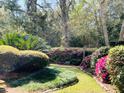 Lush backyard featuring a variety of trees, manicured shrubs, and colorful azaleas at 1039 Grand Concourse St, Charleston, SC 29412
