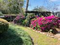Picturesque garden with colorful azaleas, a wooden arbor, and lush green lawn at 1039 Grand Concourse St, Charleston, SC 29412