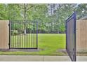 View of a large, grassy fenced in backyard, perfect for recreation and relaxation at 213 Turtle Point Rd, Summerville, SC 29483