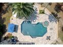 Aerial view of a private backyard with a large pool, spa, palm trees, and patio area at 3685 Colonel Vanderhorst Cir, Mount Pleasant, SC 29466