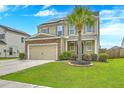 Inviting front yard featuring a mature palm tree, lush green grass, and landscaped garden beds at 7675 High Maple Cir, North Charleston, SC 29418