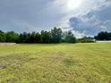 Spacious grassy lot with wooded area, ideal for recreation and outdoor activities at 505 Shady Maple St, Moncks Corner, SC 29461