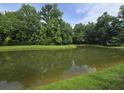 Pond surrounded by green grass and lush foliage, reflecting the clear sky and trees at 765 Certificate Ct, Charleston, SC 29414