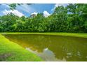 Scenic view of a tranquil pond surrounded by lush green trees and grassy banks at 765 Certificate Ct, Charleston, SC 29414