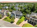 Beautiful aerial view of a neighborhood showcasing mature trees and well-maintained landscaping at 2981 Sturbridge Rd, Mount Pleasant, SC 29466