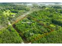 Breathtaking aerial view showcasing a lush property with main house and an ADU at 6464 Saint Anthony Dr, Meggett, SC 29449