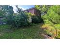 Side view of backyard, showcasing the need for lawn care and vegetation management at 116 Stillfield Dr, Moncks Corner, SC 29461