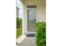 Inviting front door with a clear view and security features, framed by lush greenery at 3927 Four Poles Park Dr, North Charleston, SC 29405