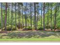 Secluded property with a picturesque tree-lined yard, offering a sense of privacy and serenity at 107 Kimberwicke Dr, Summerville, SC 29483
