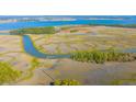 Beautiful marshland landscape with tidal creeks, wooden pier and spartina grass at 246 Slipper Shell Ct, Mount Pleasant, SC 29464