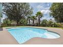 Refreshing backyard pool surrounded by lush landscaping, palm trees and a privacy fence at 7511 Hawks Cir, Hanahan, SC 29410