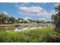 Picturesque view of the neighborhood waterway, complemented by lush vegetation and a tranquil atmosphere at 774 Creekside Dr, James Island, SC 29412