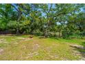 Expansive backyard features lush green grass, mature trees, and a fenced perimeter at 130 Chadwick Dr Dr, Charleston, SC 29407