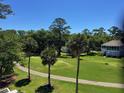 Beautiful green lawn with mature trees surrounds well-maintained homes and manicured walking path at 287 Driftwood Ln, Edisto Beach, SC 29438