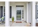 Inviting front entrance featuring a glass-paneled door, white columns, and a welcoming 'Hello' doormat at 349 Waterlily Way, Summerville, SC 29486