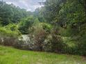 Picturesque scene of a pond surrounded by verdant foliage and trees at 126 Rattlensnake Trl, Walterboro, SC 29488