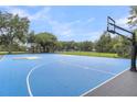 Outdoor basketball court featuring a vibrant blue playing surface and well-maintained hoops and court lines at 4630 Palm View Cir, North Charleston, SC 29418
