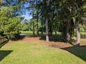 Scenic backyard featuring lush green lawn and tranquil water views framed by mature trees at 5256 Mulholland Dr, Summerville, SC 29485