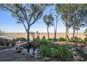 Relaxing backyard featuring a pond, a fire pit and an incredible marsh view, perfect for enjoying the outdoors at 520 E Huron Ave, Folly Beach, SC 29439