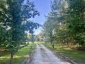 Long gravel driveway leading up to a charming home surrounded by mature trees at 1173 Penny Creek Dr, Ruffin, SC 29475