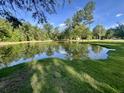 Picturesque pond reflecting the surrounding trees and sky, enhancing the serene setting at 1173 Penny Creek Dr, Ruffin, SC 29475