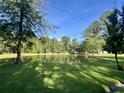 Scenic pond surrounded by lush green grass and mature trees on a sunny day at 1173 Penny Creek Dr, Ruffin, SC 29475