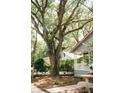 Exterior view of home with mature trees, front porch, and bird bath at 317 Bay St, Walterboro, SC 29488